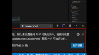 vscode 不能正常运行