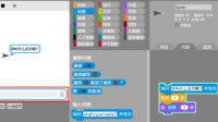 scratch输入项是什么？
