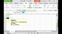 我在WPS  Excel表中设置限制输入重
