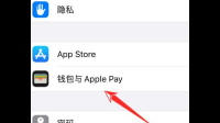 苹果用户怎样切换黄油相机的支付方