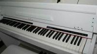 电钢琴的键盘都是配重键盘吗？