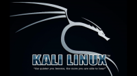 第一次安装kali linux系统应该选择