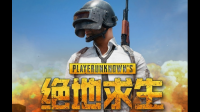 3000-4000的电脑能pubg高画质80帧