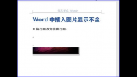 高版本Word会不显示图片