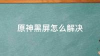 电脑原神开始不显示内容黑屏怎么办