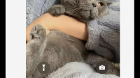 苹果手机的旁白功能可以黑屏录像吗